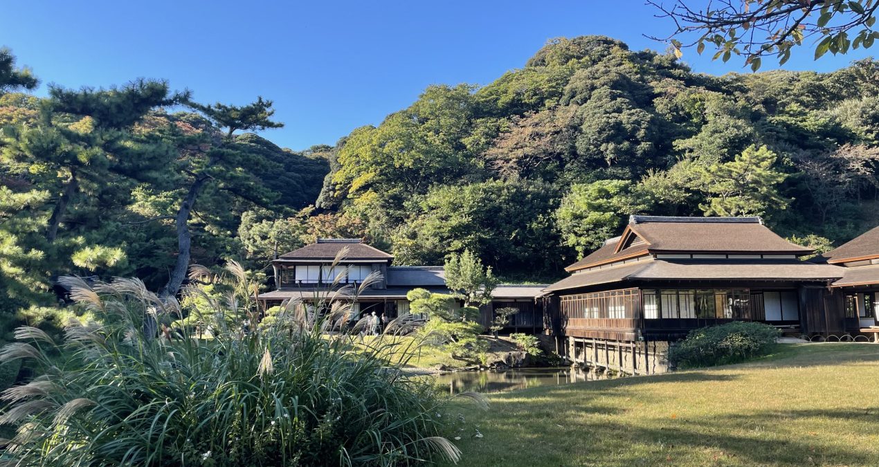 横浜・三溪園レビュー【インバウンド】【日本文化】